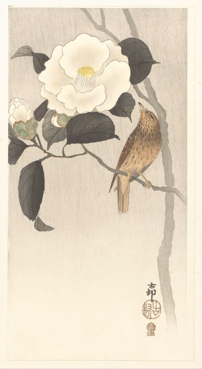 Songbird ve çiçek açan kamelya by Ohara Koson