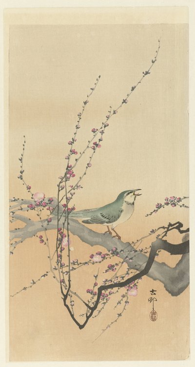 Songbird ve erik çiçeği. by Ohara Koson