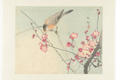 Çiçek dalında ötücü kuş by Ohara Koson