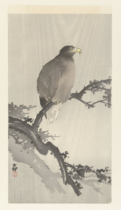Dalda kel kartal by Ohara Koson