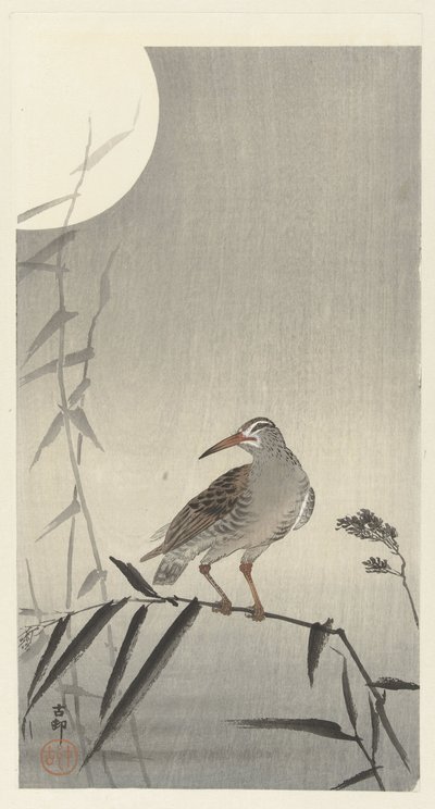 Bambu dalı üzerinde siyah binici by Ohara Koson