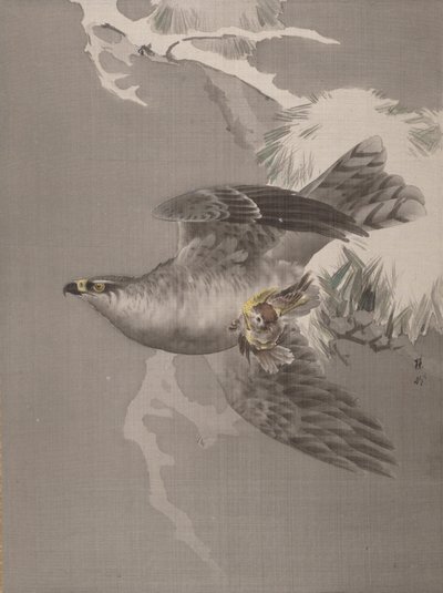 Küçük Bir Kuş Tutan Şahin, ca. 1891-92. by Okada Baison