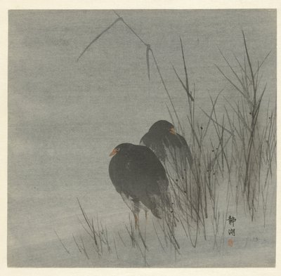 kamışlar arasında iki saz by Okuhara Seiko
