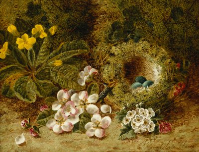 Elma Çiçekleri, Yosunlu Bir Bankada Bir Primrose ve Kuş Yuvası, by Oliver Clare