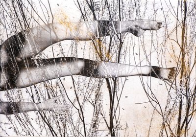 Gambe volanti, 2022 (ahşap üzerine karışık teknik) by Olivia Gozzano