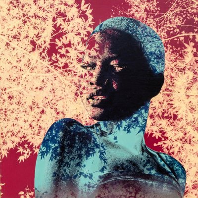 Gölgedeki Sır, 2021 (tuval üzerine karışık teknik) by Olivia Gozzano