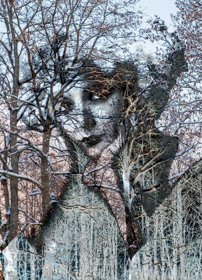 Ritratto invernale, 2021 (dijital karışık medya) by Olivia Gozzano