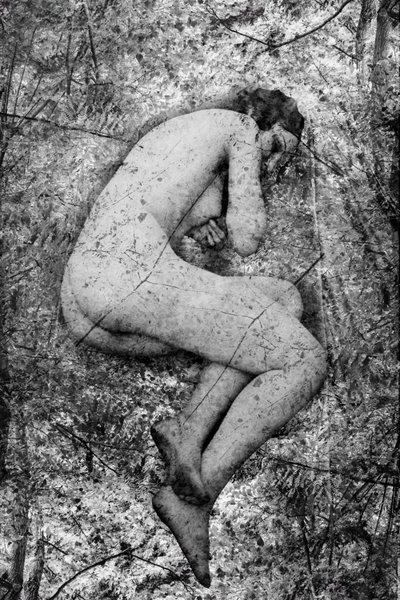 Seme, 2024 (dijital karışık teknik) by Olivia Gozzano