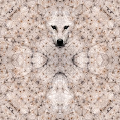 Yarı lupus, 2023 (dijital karışık medya) by Olivia Gozzano