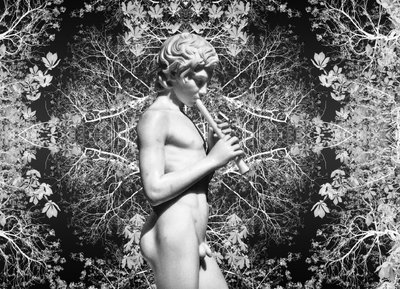  by Olivia Gozzano