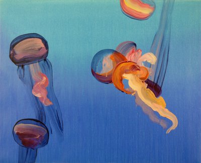  by Olivier Morel