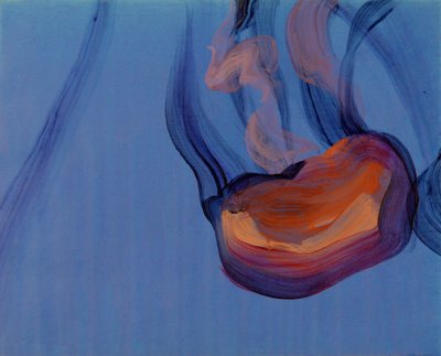  by Olivier Morel