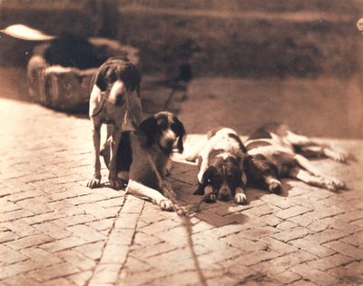 Av Köpekleri, c.1853 (tuz baskı) by Olympe Aguado