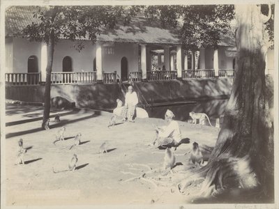 Muhtemelen Surabaya