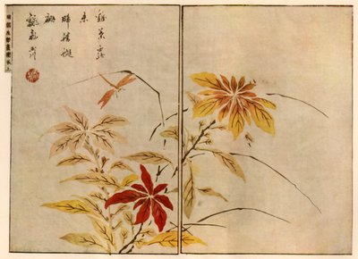 Bitkili Yusufçuk, 1746, 1924. by Ooka Shunboku