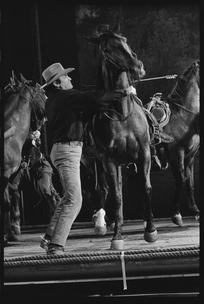 Gregory Peck 