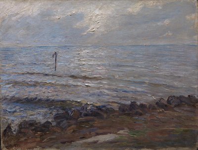 Deniz üzerinde güneş ışığı by Oscar Björck
