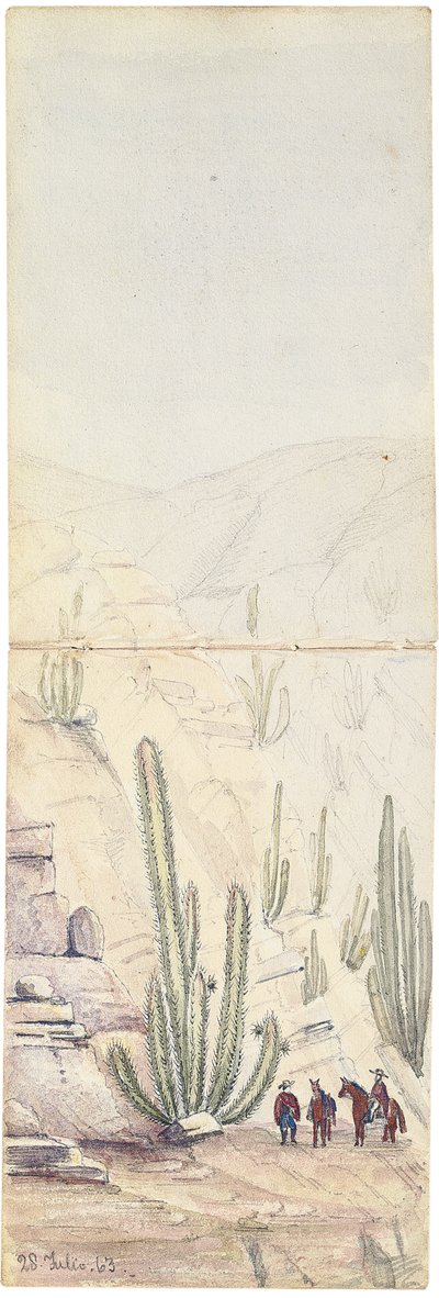 Derin Kaktüsler "Quebrada", 1863 by Oswald Younghusband