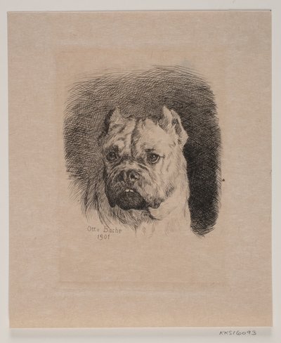 Bir köpeğin kafası by Otto Bache