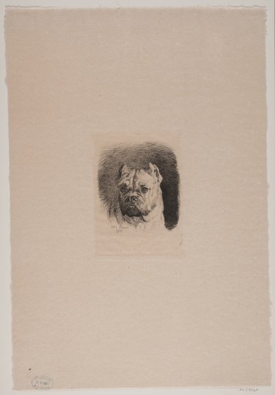 Bir köpeğin kafası by Otto Bache