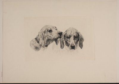 iki köpek kafası by Otto Bache