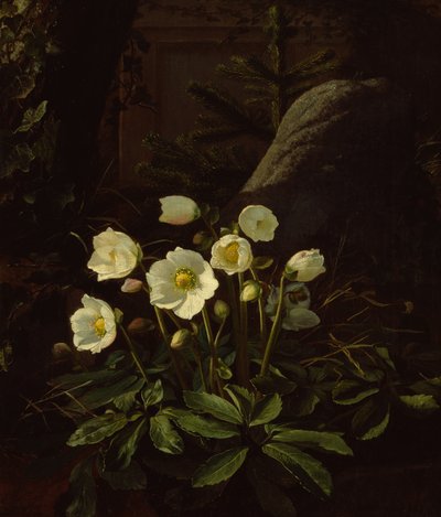Rockery