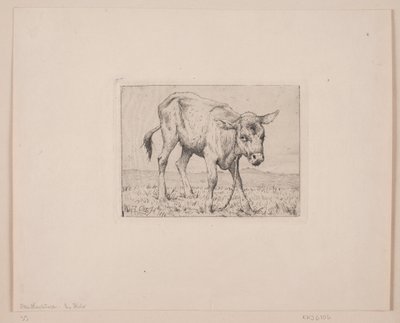 Bir buzağı by Otto Haslund