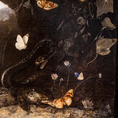 Yılanlar, Kurbağalar ve Kelebekler by Otto Marseus van Schrieck