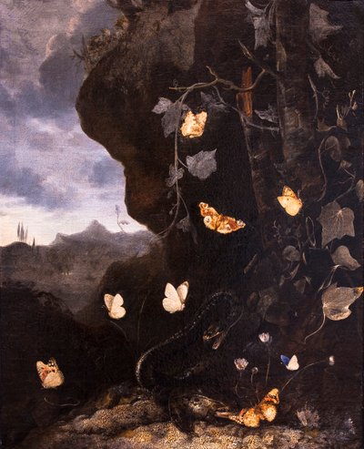 Yılanlar, Kurbağalar ve Kelebekler by Otto Marseus van Schrieck