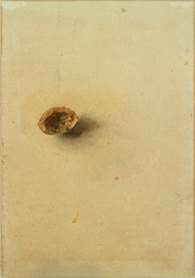 Nussscale by Otto Meyer Amden