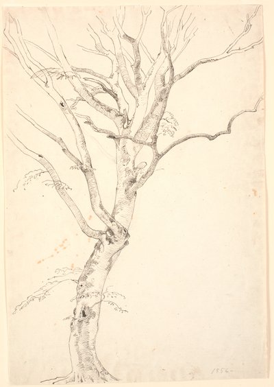 yapraklı kayın ağacı by P.C. Skovgaard