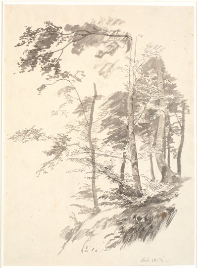 Bir yamaçta kayın ağaçları by P.C. Skovgaard