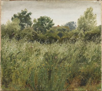 Vejby yakınlarındaki Yulaf Tarlası by P.C. Skovgaard