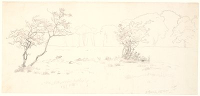 Dyrehaven