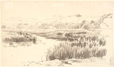 Genişliği boyunca uzun sazların büyüdüğü bir dere ile manzara. Arka planda tepeler. Muhtemelen Vejle by P.C. Skovgaard