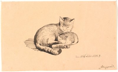 Kedi yavrusu ile yalancı kedi. by P.C. Skovgaard