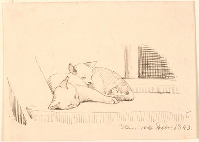 Uyuyan iki kedi. by P.C. Skovgaard