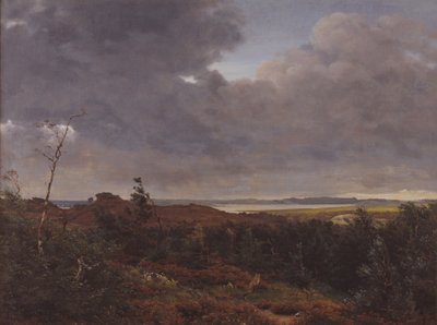 Tisvilde Wood, Kuzey Zelanda