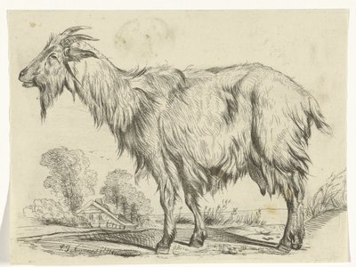 ayakta keçi by P.J. Neumans