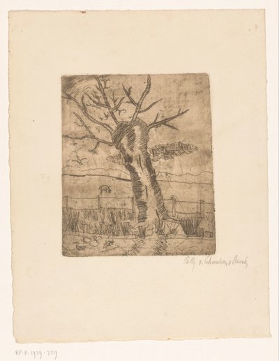Çit için Pollard söğüt by Pally van Schoonhoven