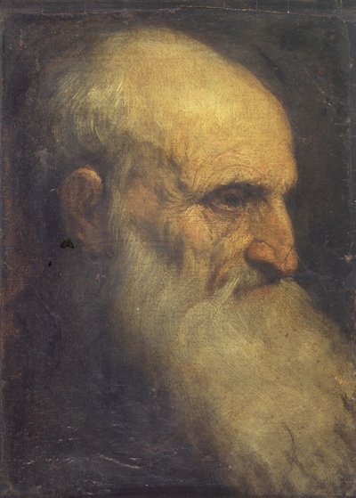 Erkek başı (ön), c.1588-90 (tuval üzerine yağlı boya) by Palma Il Giovane
