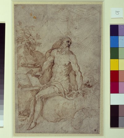 Eskiz, muhtemelen St. Jerome (kağıt üzerine kalem ve mürekkep) by Palma Il Giovane