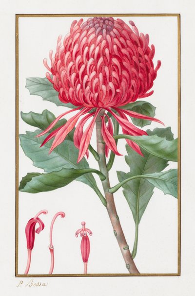 İsimsiz, 1828-1835. by Pancrace Bessa