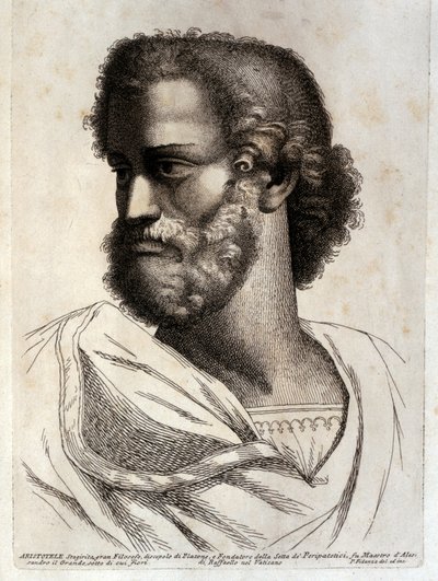  by Paolo Fidanza