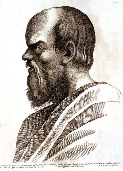  by Paolo Fidanza