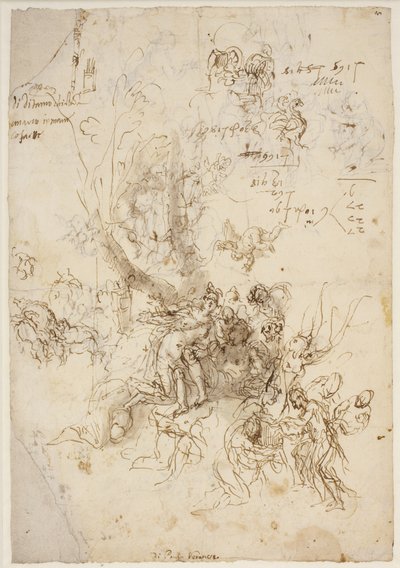 Adonis'in doğumu ve ölümü için eskizler by Paolo Veronese