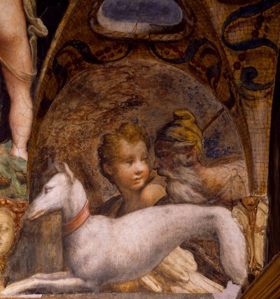Köpek ve avcı, Myth of Diana ve Actaeon