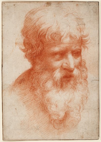 Sakallı Adamın Başı, sağa bakıyor, 1523-25 civarı (kağıt üzerinde kırmızı tebeşir) by Parmigianino (1503 40)