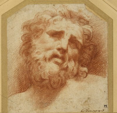Sakallı bir kafa, yukarı bakıyor (muhtemelen Laocoon) (beyaz kağıt üzerine kırmızı tebeşir) by Parmigianino