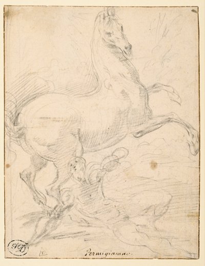 Aziz Paul Dönüşümü (rekto) by Parmigianino
